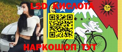 винт Будённовск